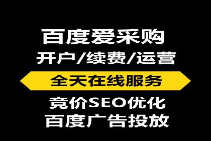 搜索引擎营销（SEM）的创意与执行——以多个行业成功案例为教学